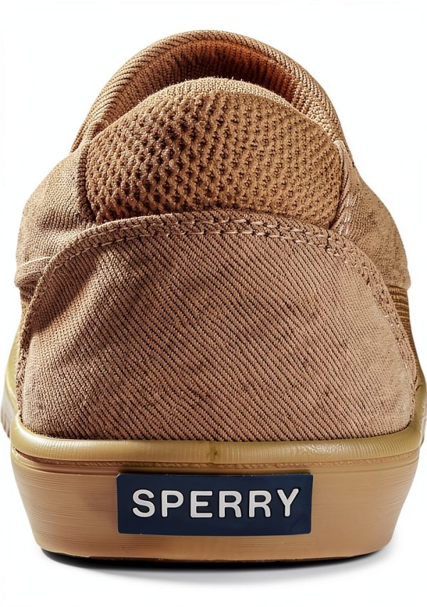 sperry shoes
