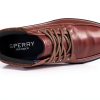Sperry Mens Chukka Boots Waterproof Dark Brown Size 9-4